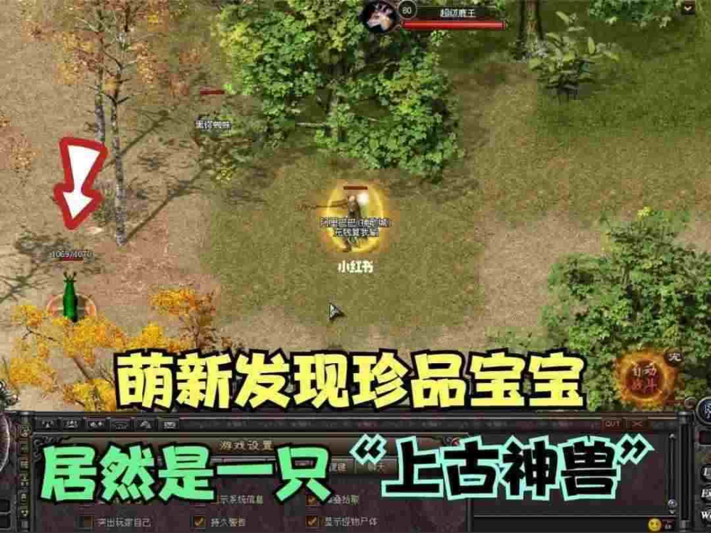 手游热血传奇我本沉默之热血传奇怎么放副将英雄